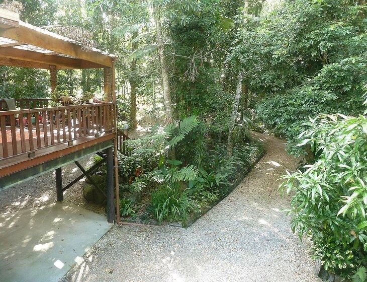 Kuranda, Queensland - Image 7