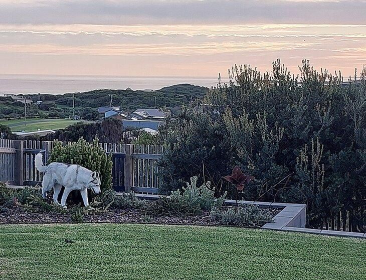Warrnambool, Victoria - Image 3