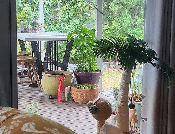 Beachmere, Queensland