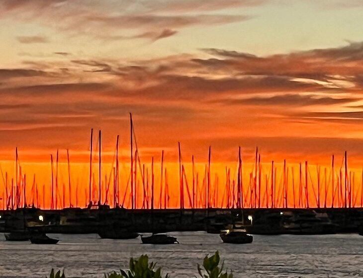 Hampton, Victoria - Image 6