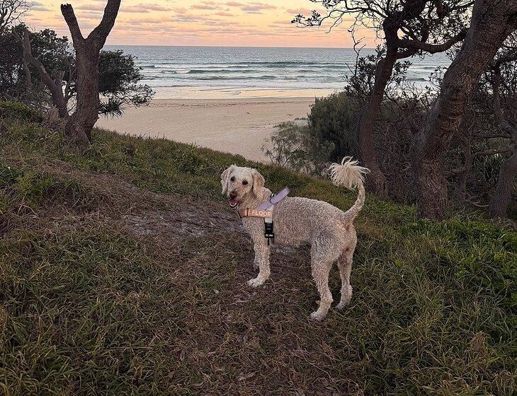 Sunrise Beach, Queensland - Image 2