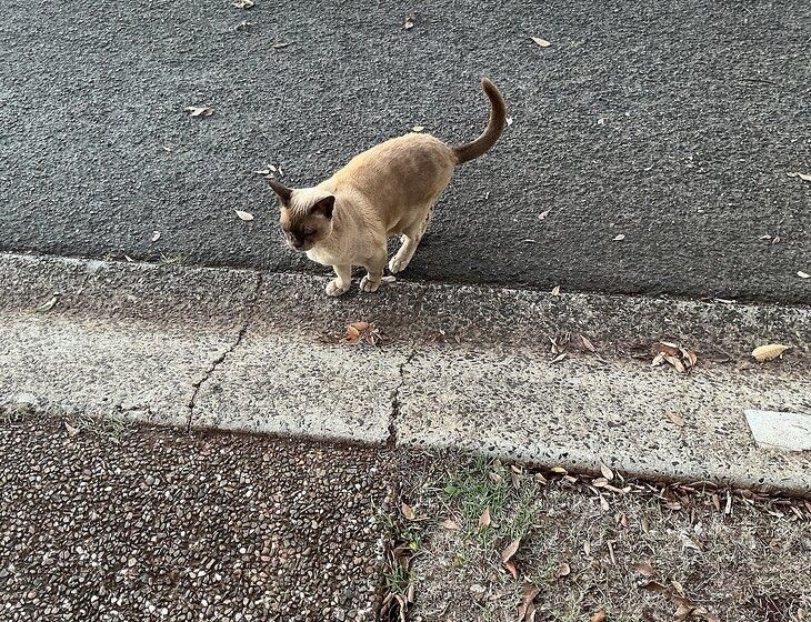 Toowoomba, Queensland