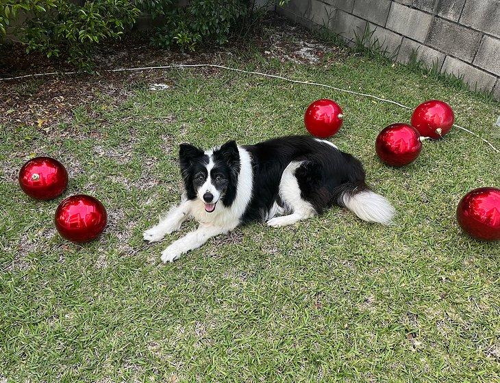 Greenslopes, Queensland