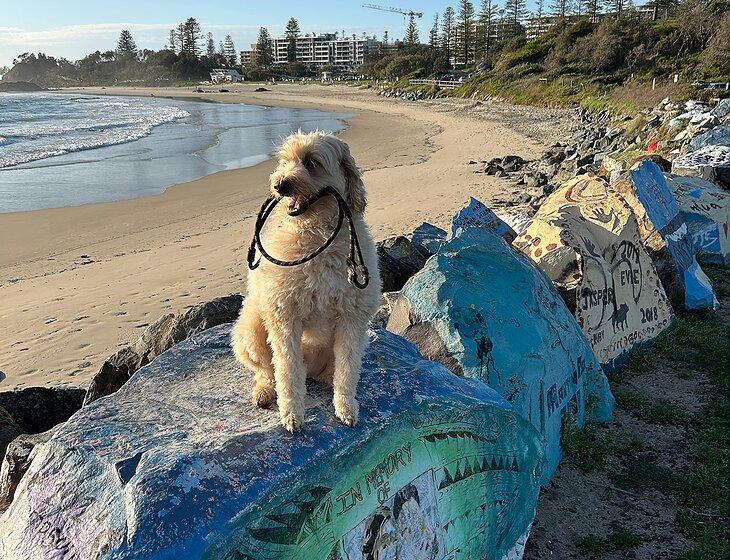 Port Macquarie, New South Wales