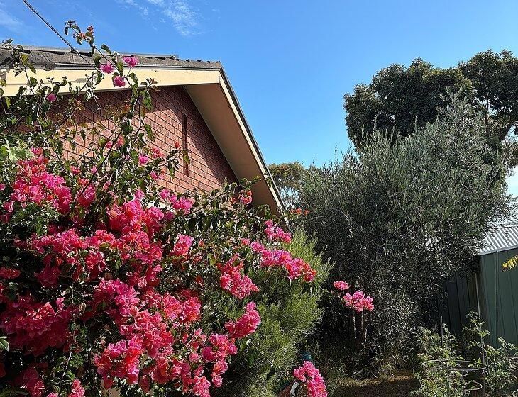 Aspendale Gardens, Victoria - Image 5