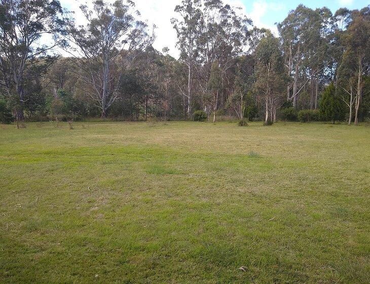 Upper Scamander, Tasmania - Image 2