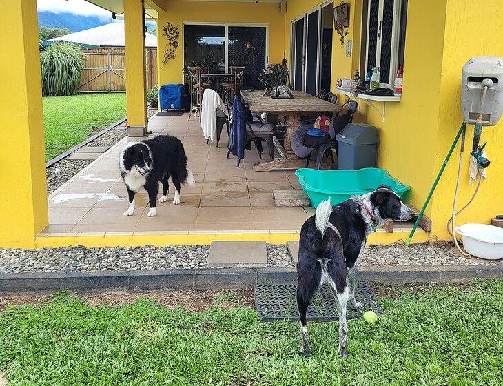 Gordonvale, Queensland - Image 2