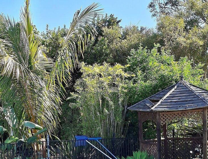 Hervey Bay, Queensland - Image 7