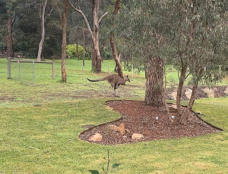 Eltham, Victoria - Image 4
