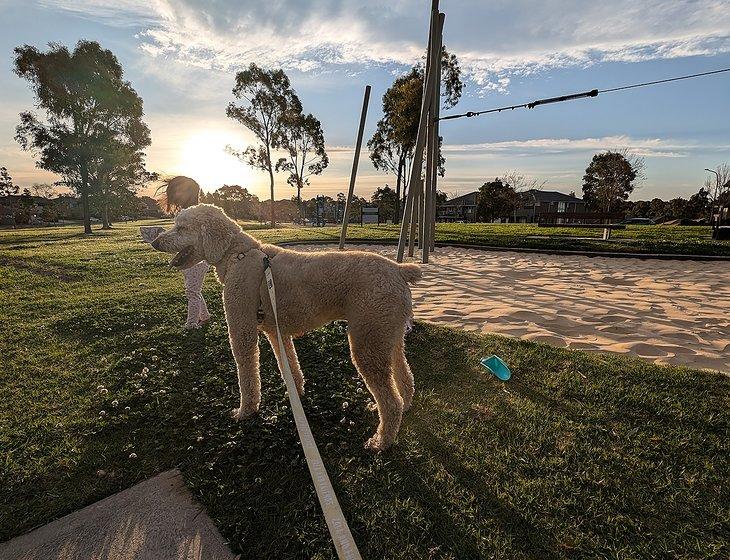 Stanhope Gardens, New South Wales