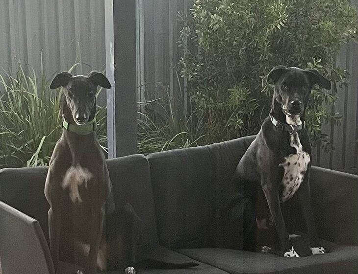 Lara, Victoria
