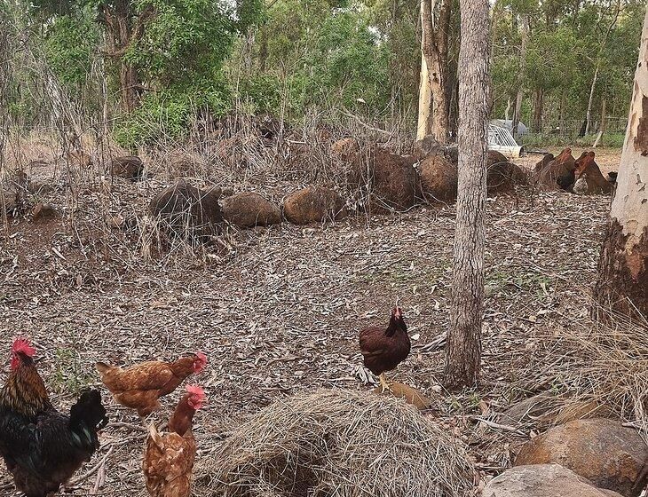 Millstream, Queensland - Image 3