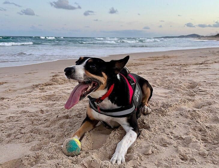 Marcus Beach, Queensland - Image 2