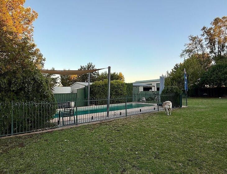 Nyngan, New South Wales - Image 4