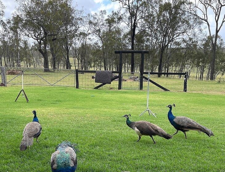Broxburn, Queensland - Image 2