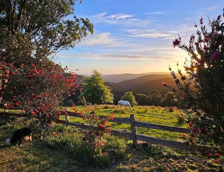 Gippsland, Victoria - Image 6