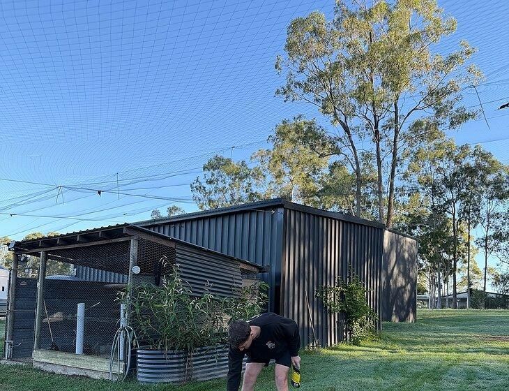 Cedarvale, Queensland - Image 5