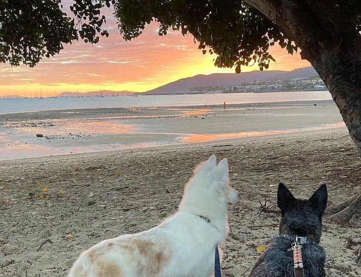 Airlie Beach, Queensland