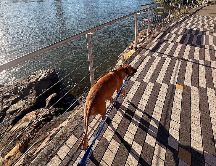 Kangaroo Point, Queensland