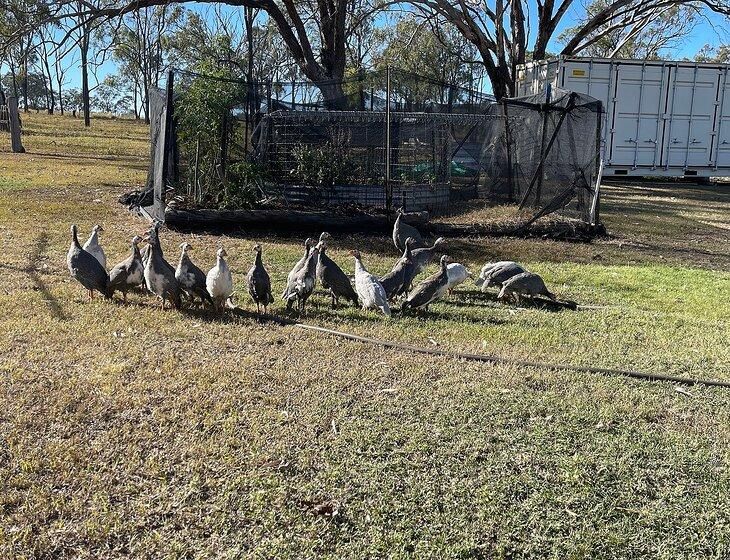 Broxburn, Queensland