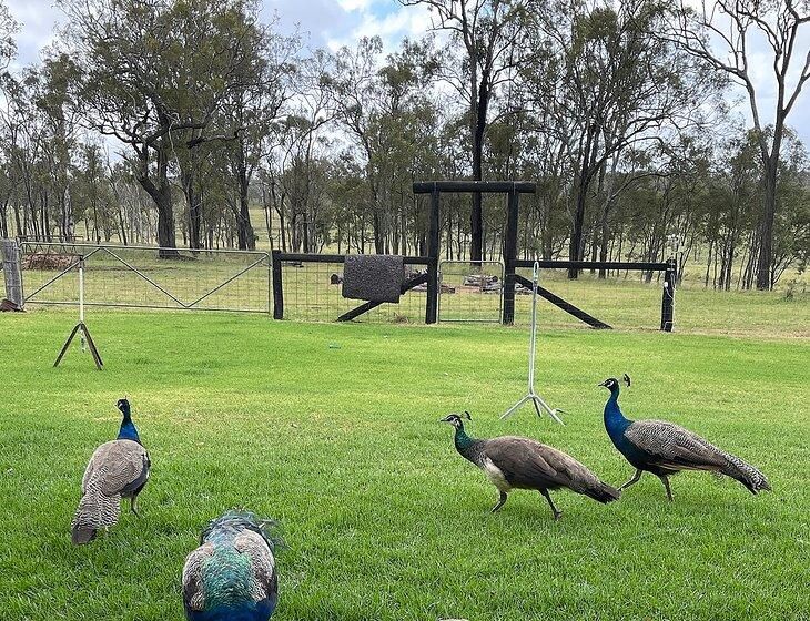 Broxburn, Queensland - Image 2