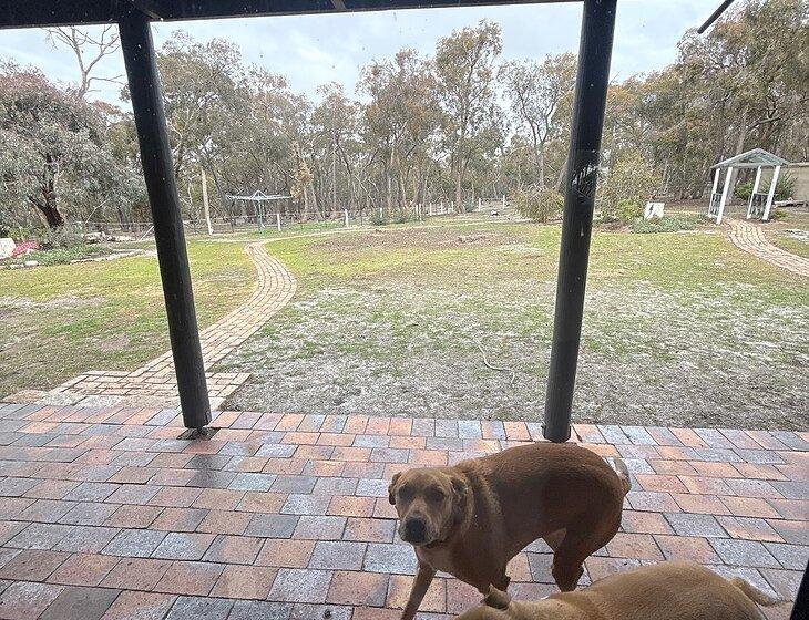 Black Range, Victoria