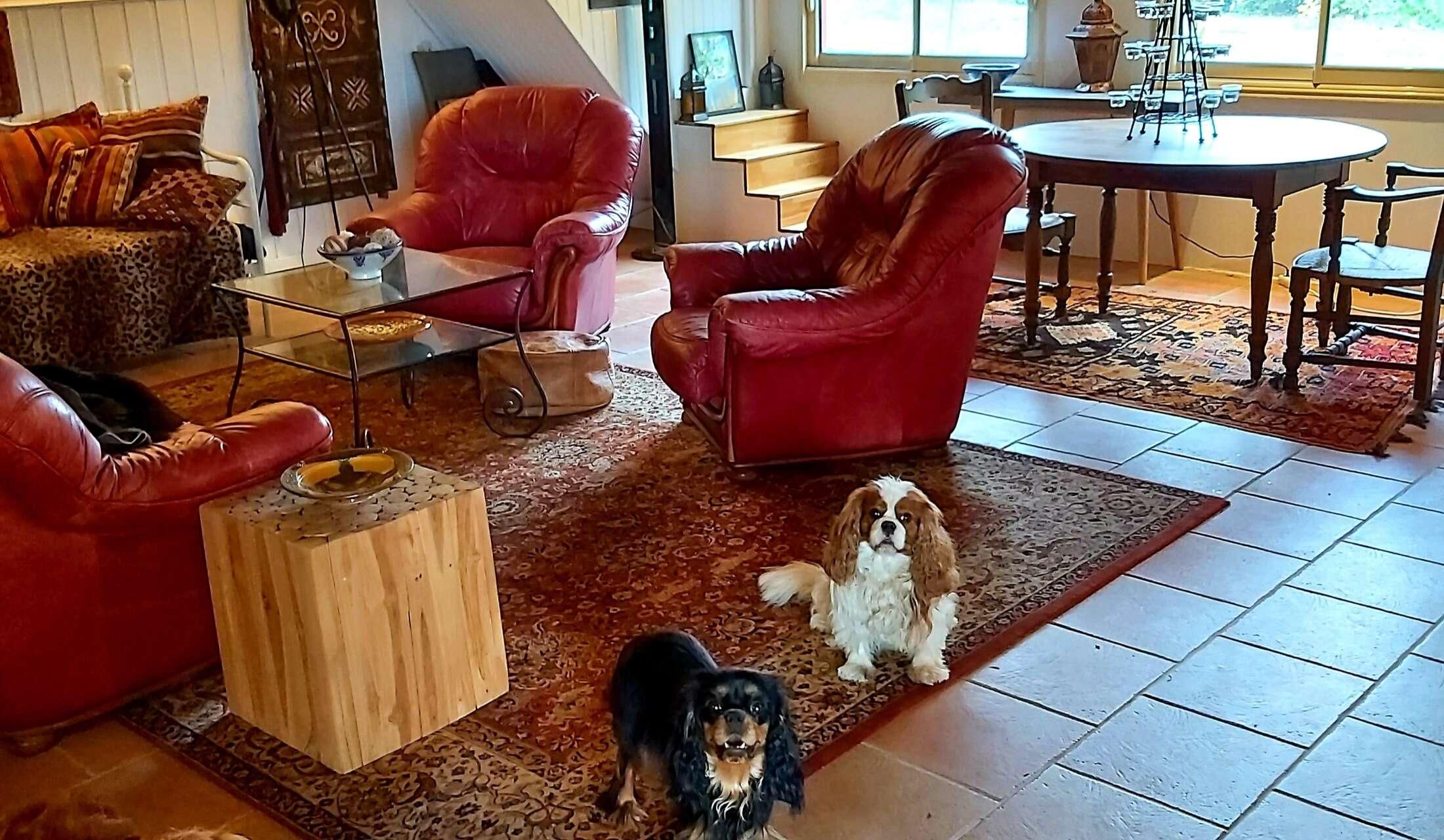 French Country Dream - Image 4