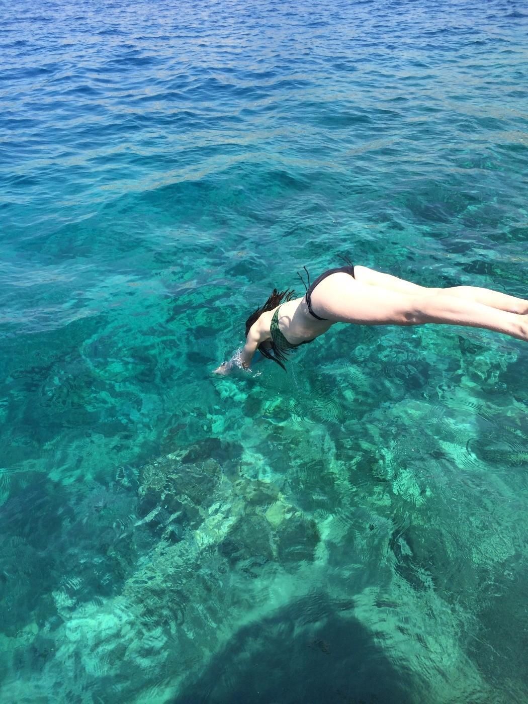 Cat sit on the beautiful Mediterranean coast.