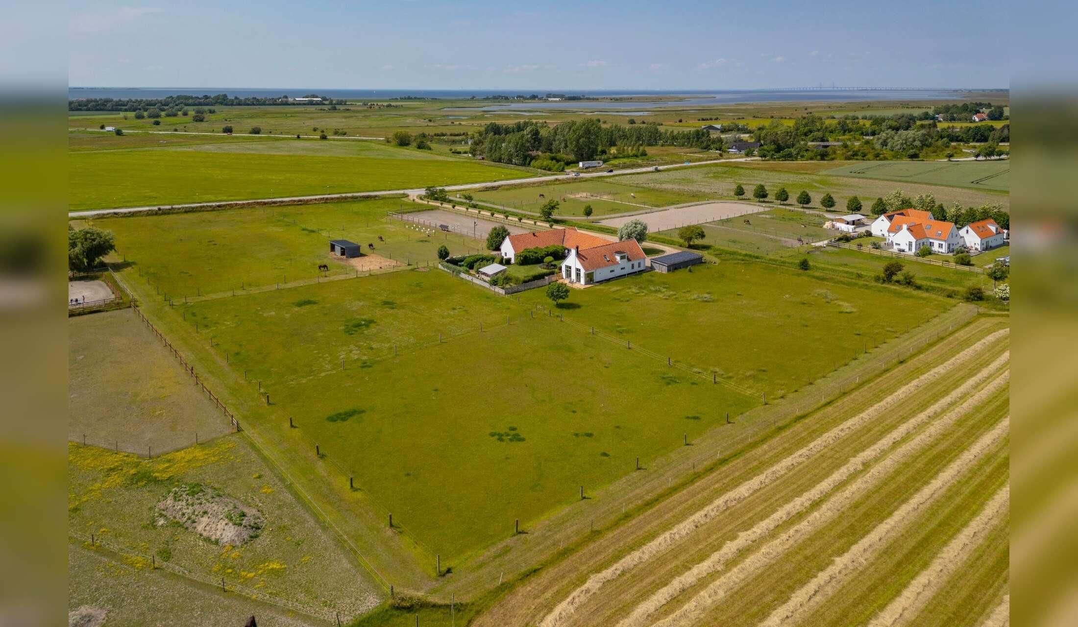 Small horse farm in south of Sweden - Image 2