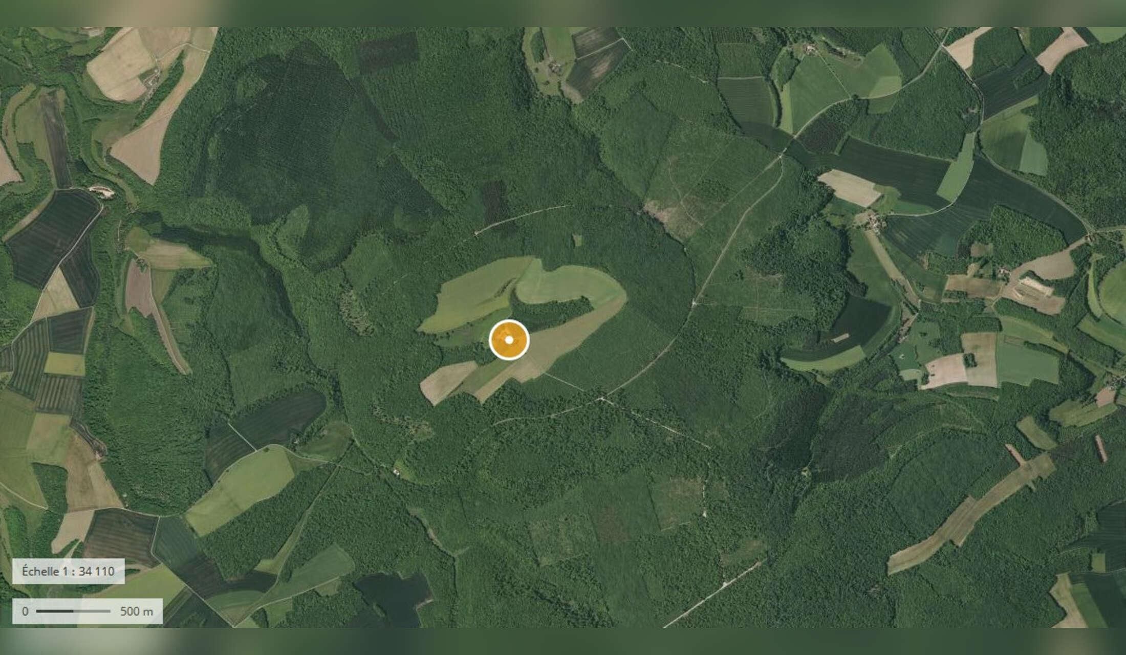 Unique nature experience - Remote farm in Burgundian forest - Image 5