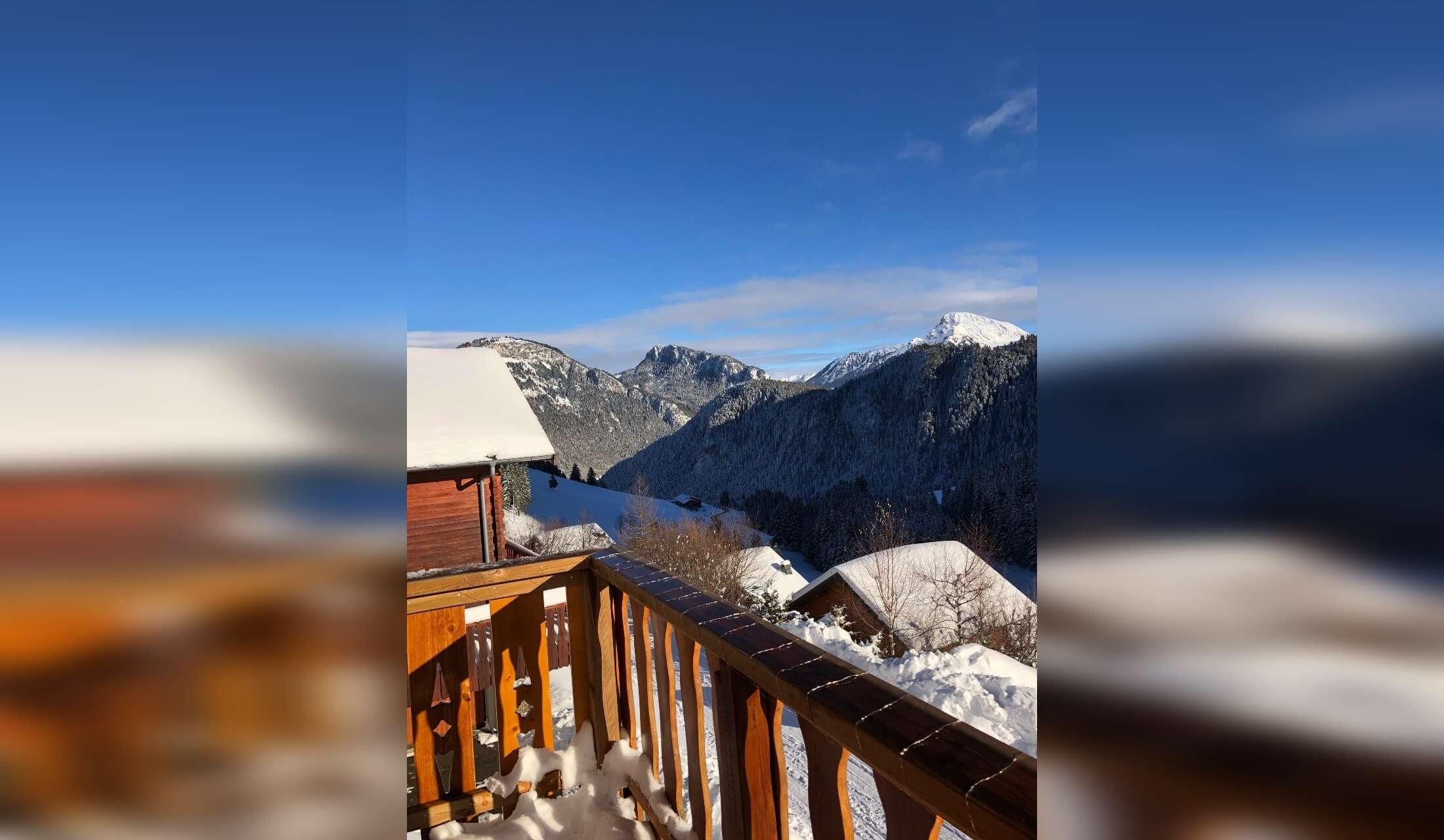 Cat and house sitter needed in a village in the French Alps - Image 4