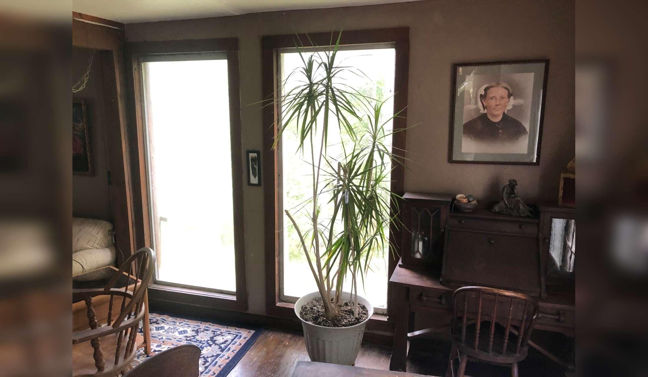 8 month Rural, rustic SEOhio - Image 7