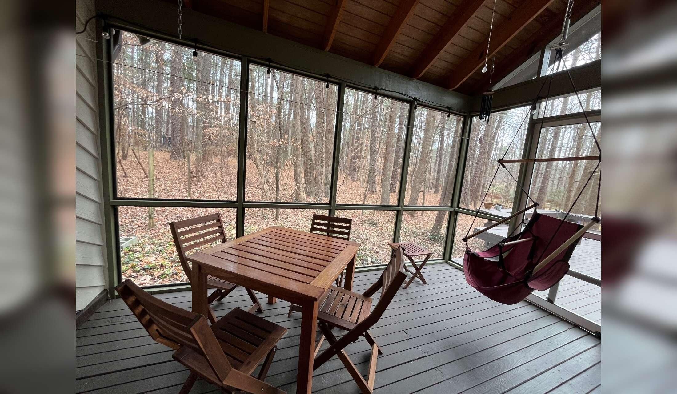 Need sitter for calm dog in Chapel Hill, North Carolina - Image 3
