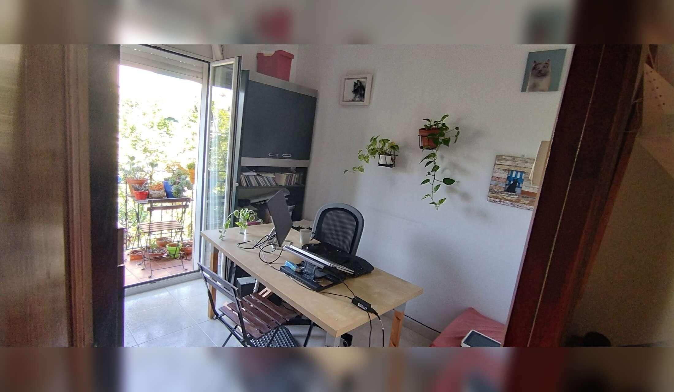 Sitter required for 2 cats in Barcelona - Image 3
