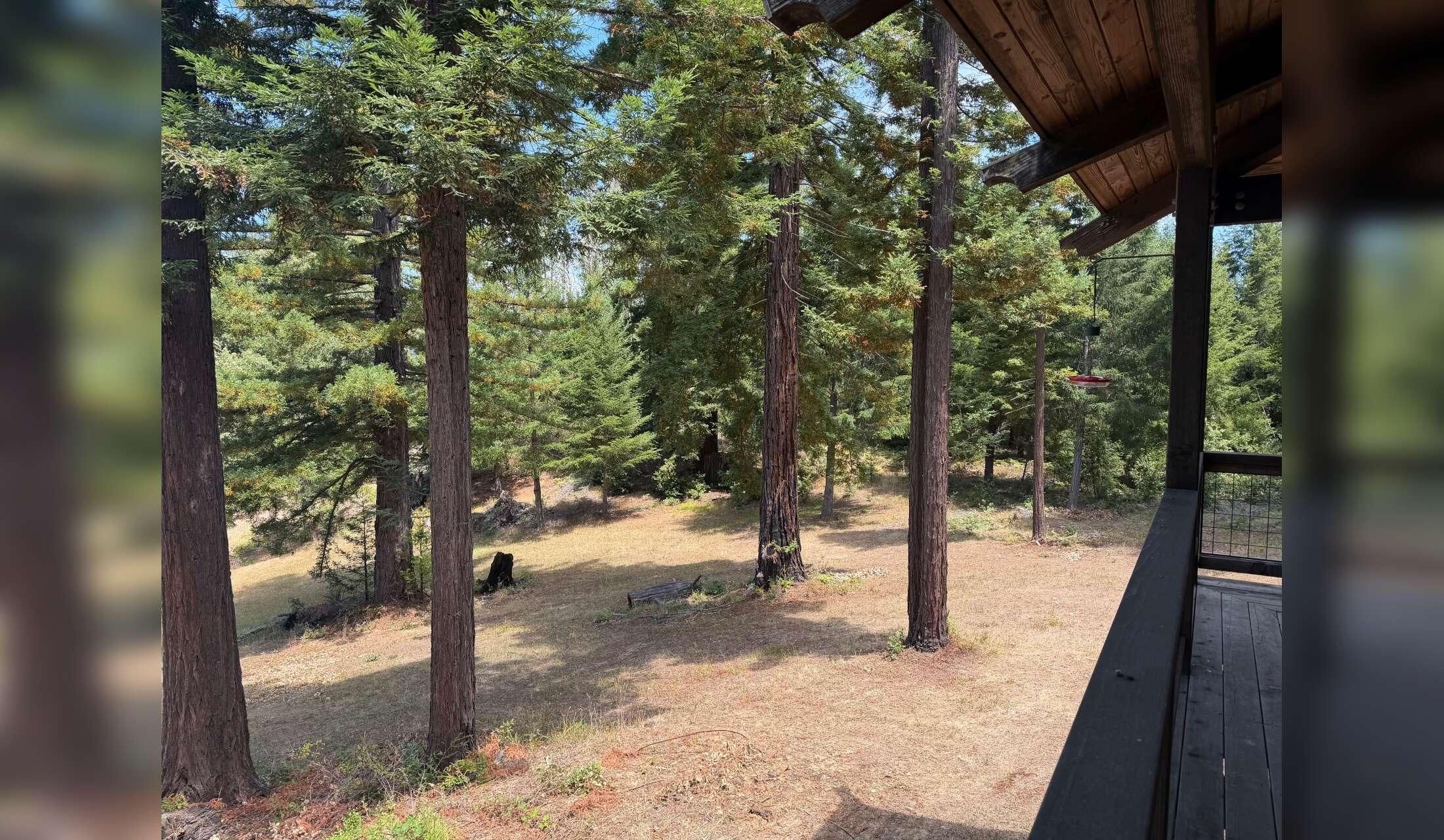 Rural Sonoma County home … 30 minutes to the ocean - Image 4