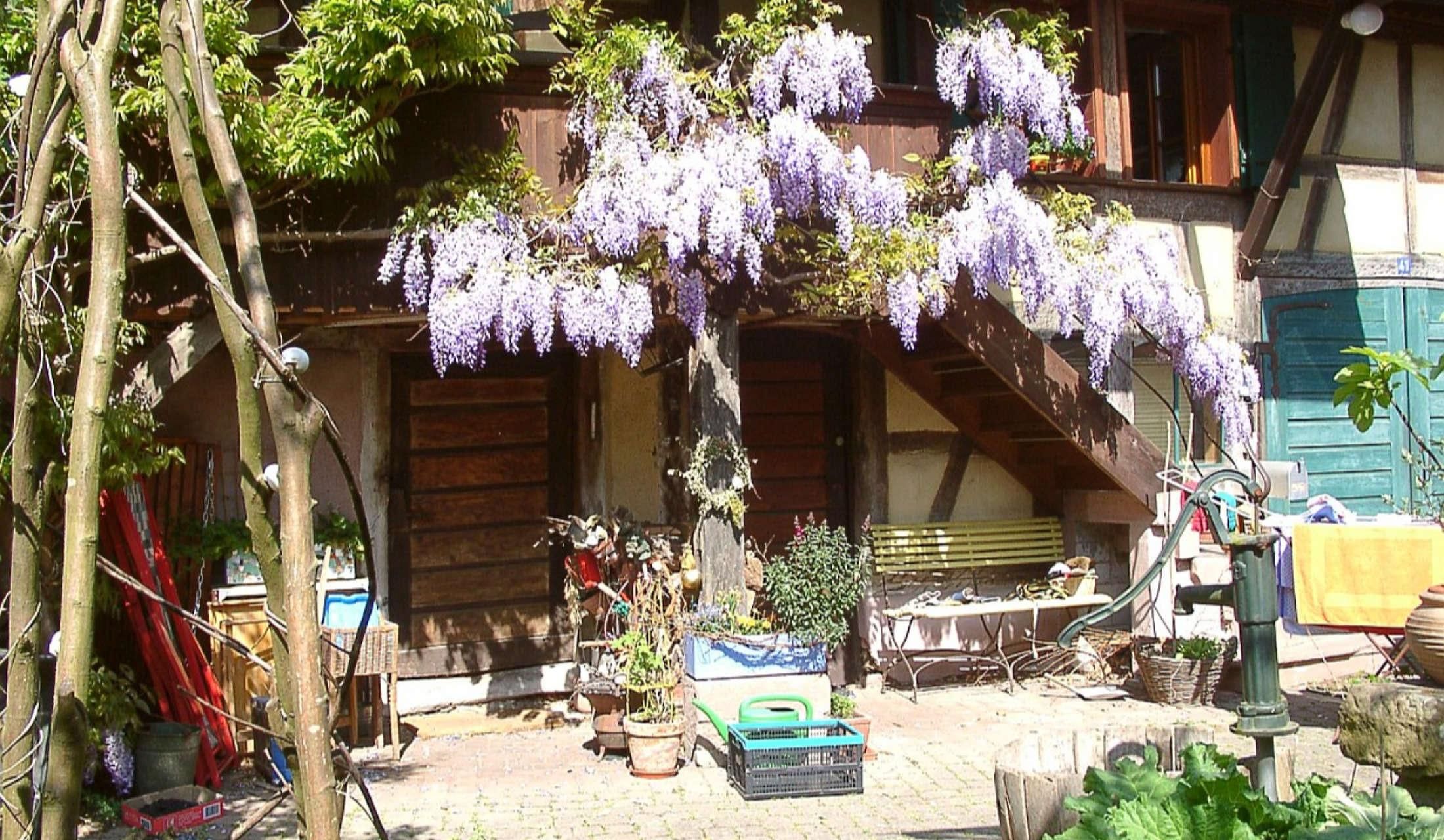 Home near Freiburg, Germany is waiting for you