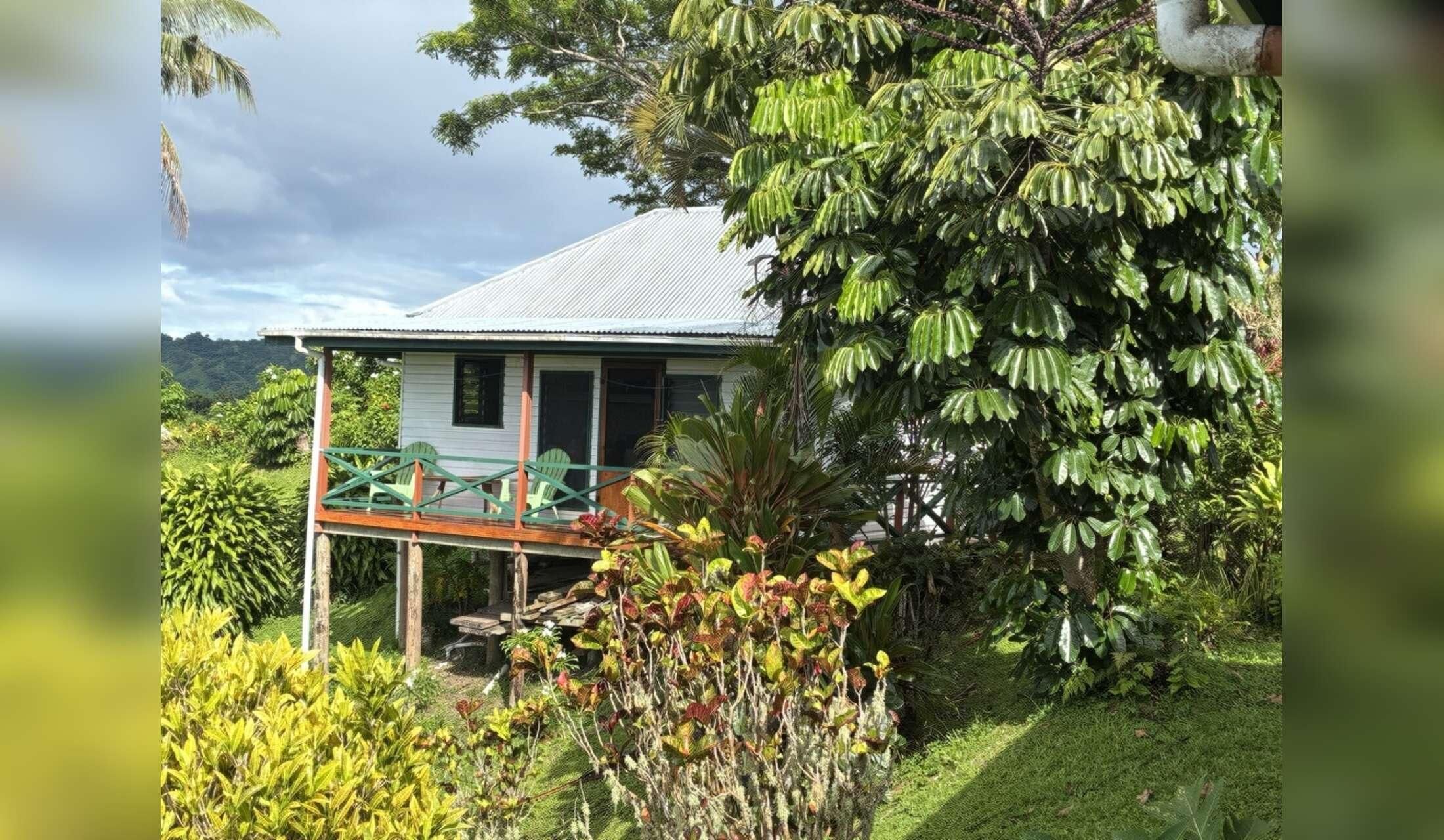 Fancy a 6 week holiday in an idyllic location in Fiji?  Dog/Cat Sitter needed! - Image 6