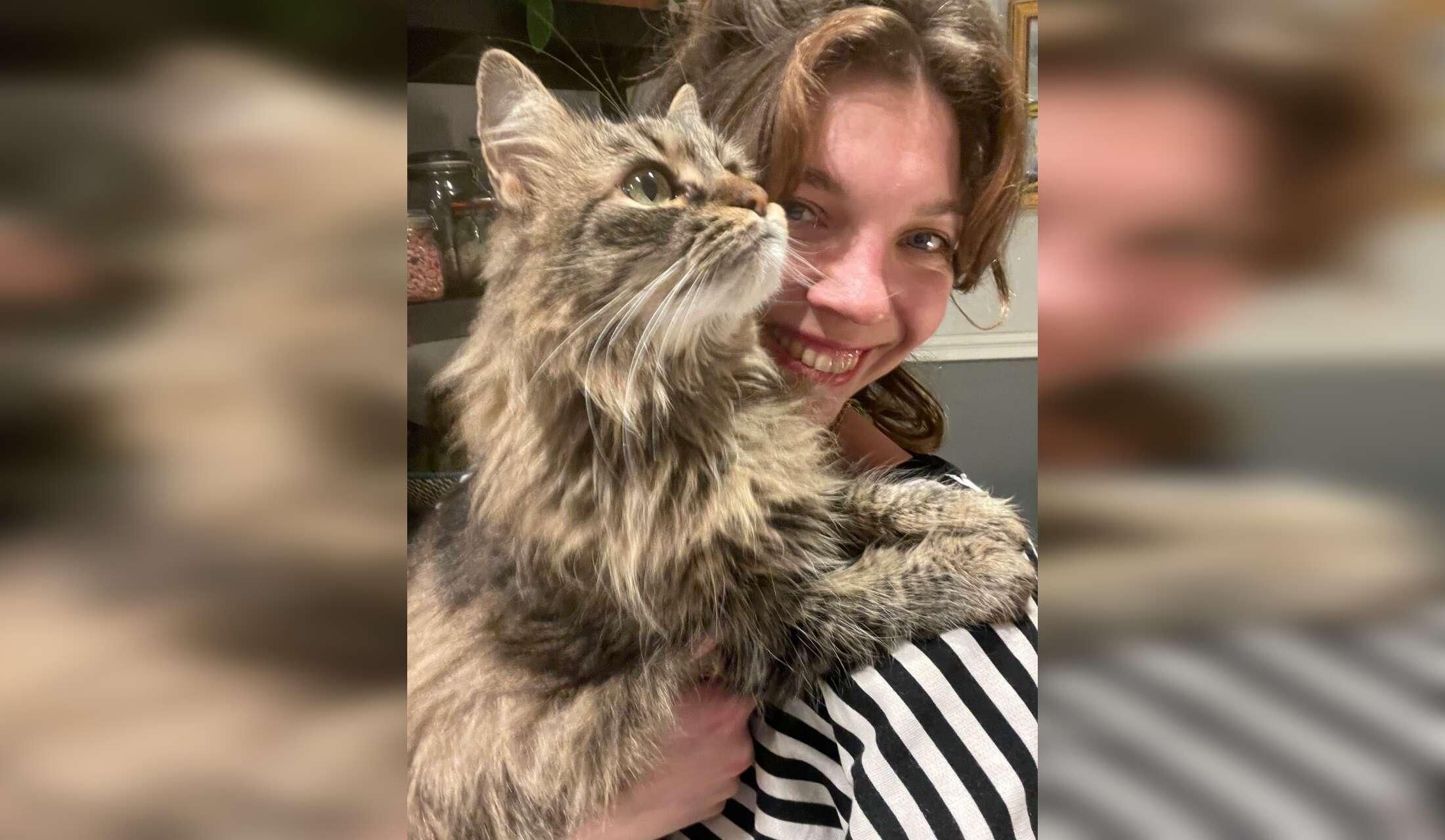 Sweet Muki is looking for a loving cat sitter - Image 2