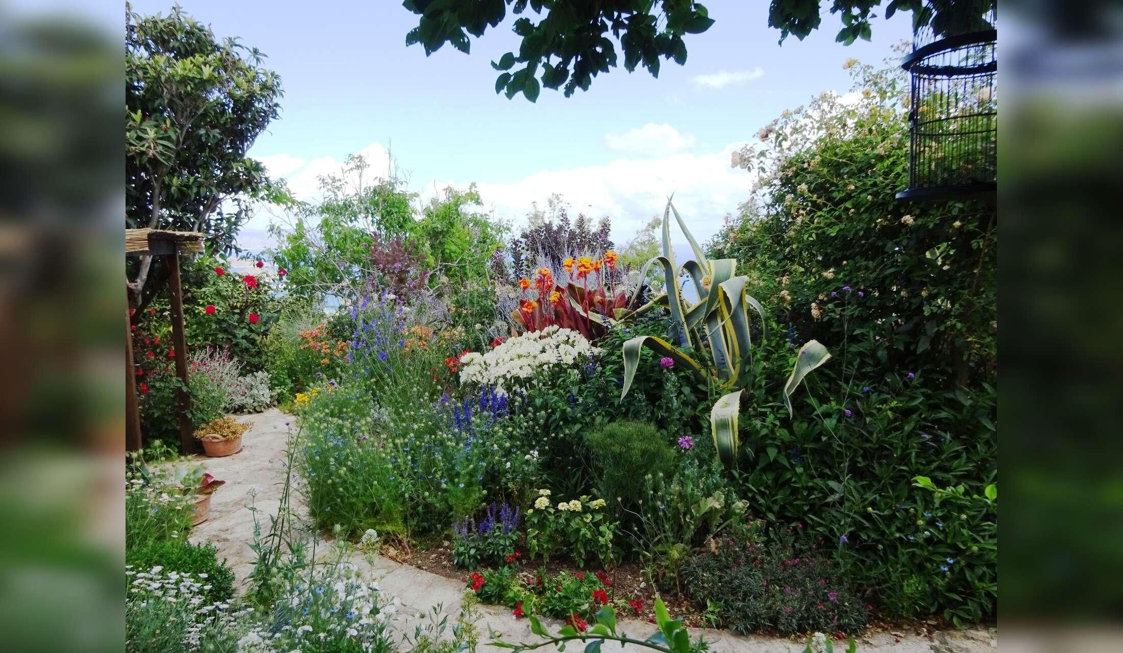 A tiny village house in North Eastern Crete with 2 cats and a garden with fish in a lily pond - Image 7