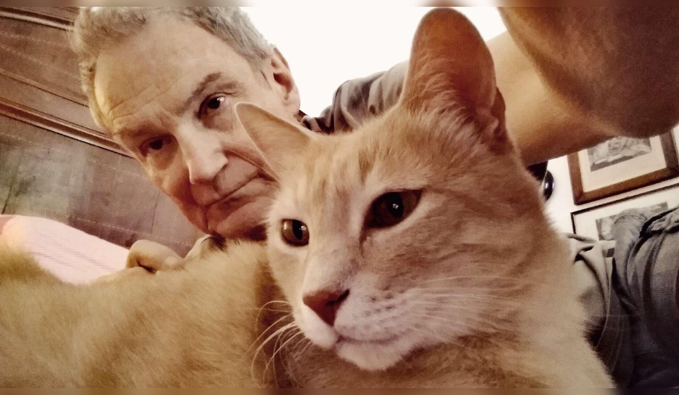 Un appartamento in un castello medievale in zona colli piacentini di 80 mq in cambio dell'accudimento del mio bellissimo gatto Woody per 4 mesi da 20 novembre 2026 a 22 marzo 2027 (a costo zero, solo da concordare i costi delle utenze di gas e luce
