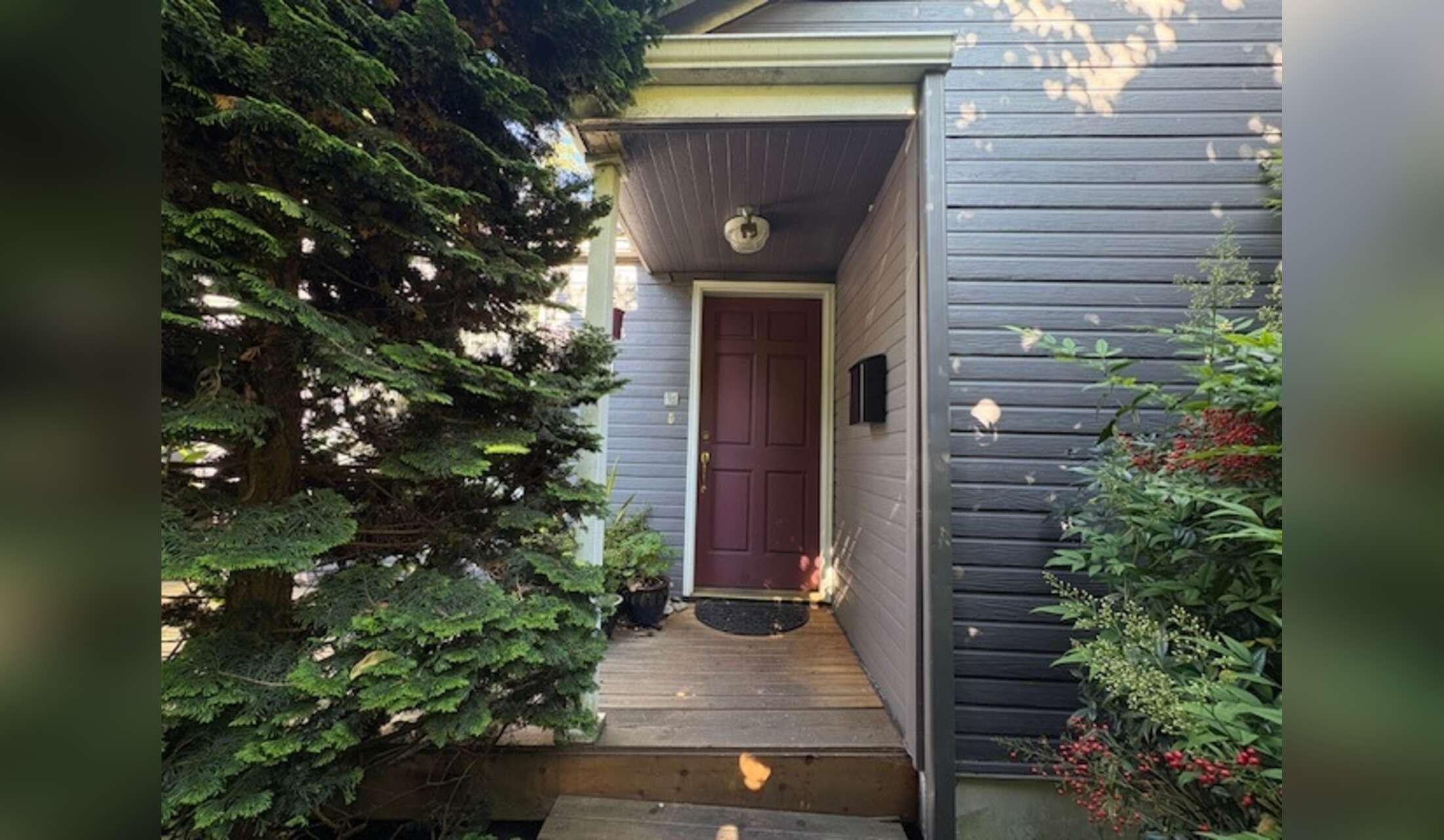 Seattle in September with 2 cats! - Image 2