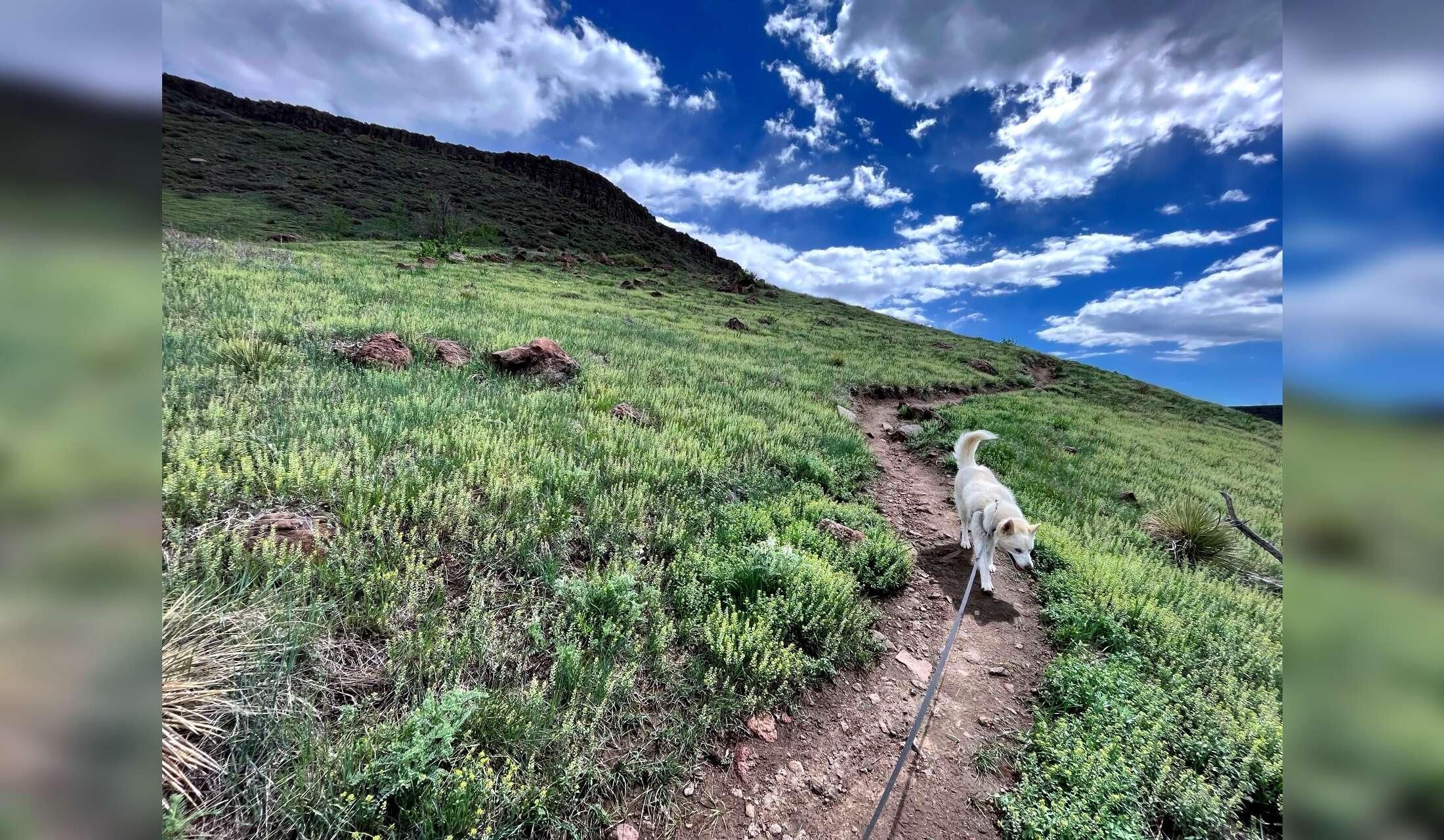 Golden, CO w/ Monty