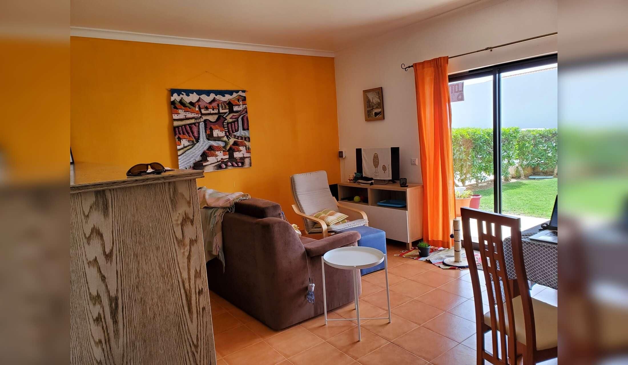 Cat sitting in the central Algarve 3km from the beach - Image 5