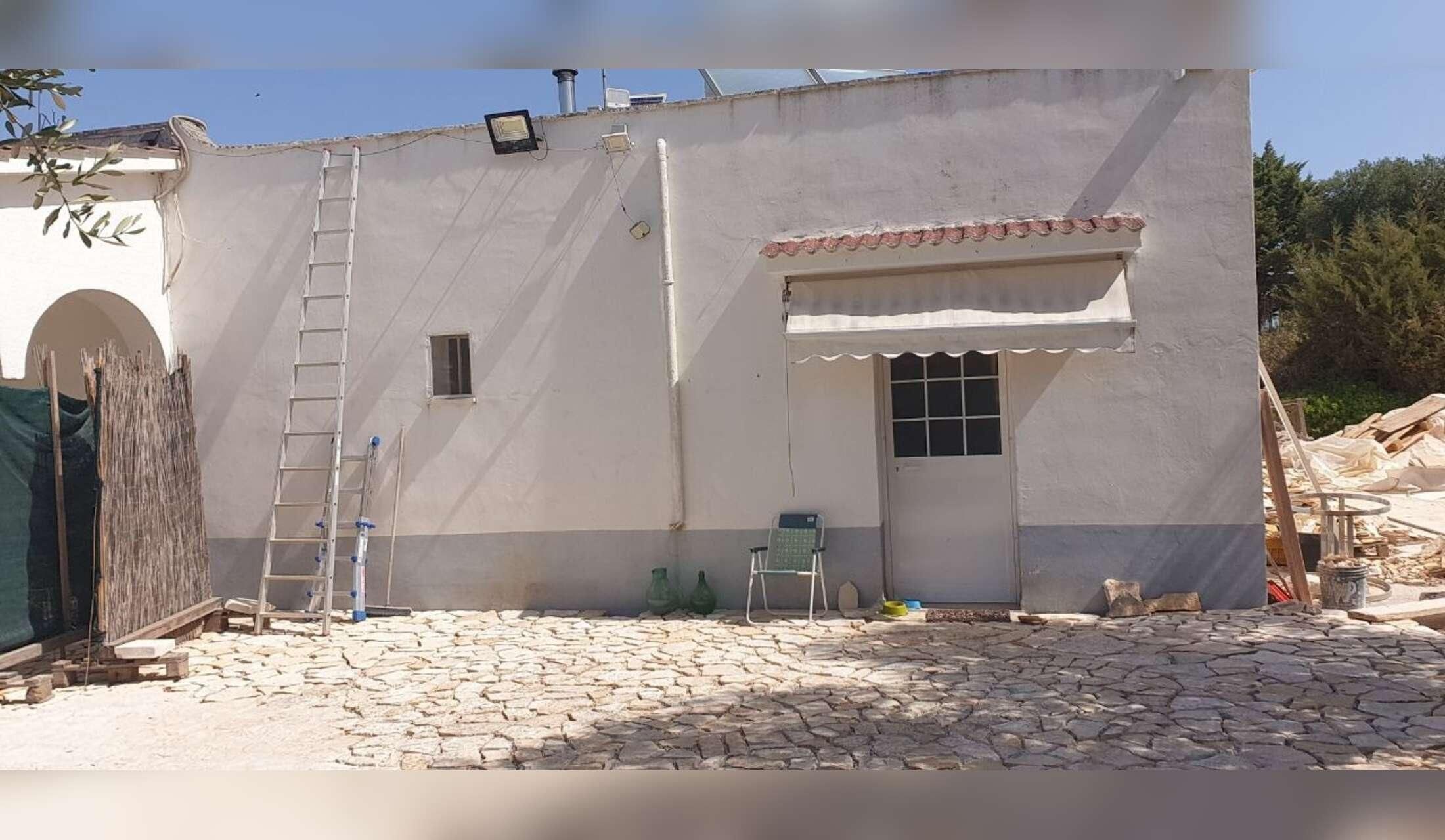 Countryside house (+ two cats) in Valle d'Itria, Puglia