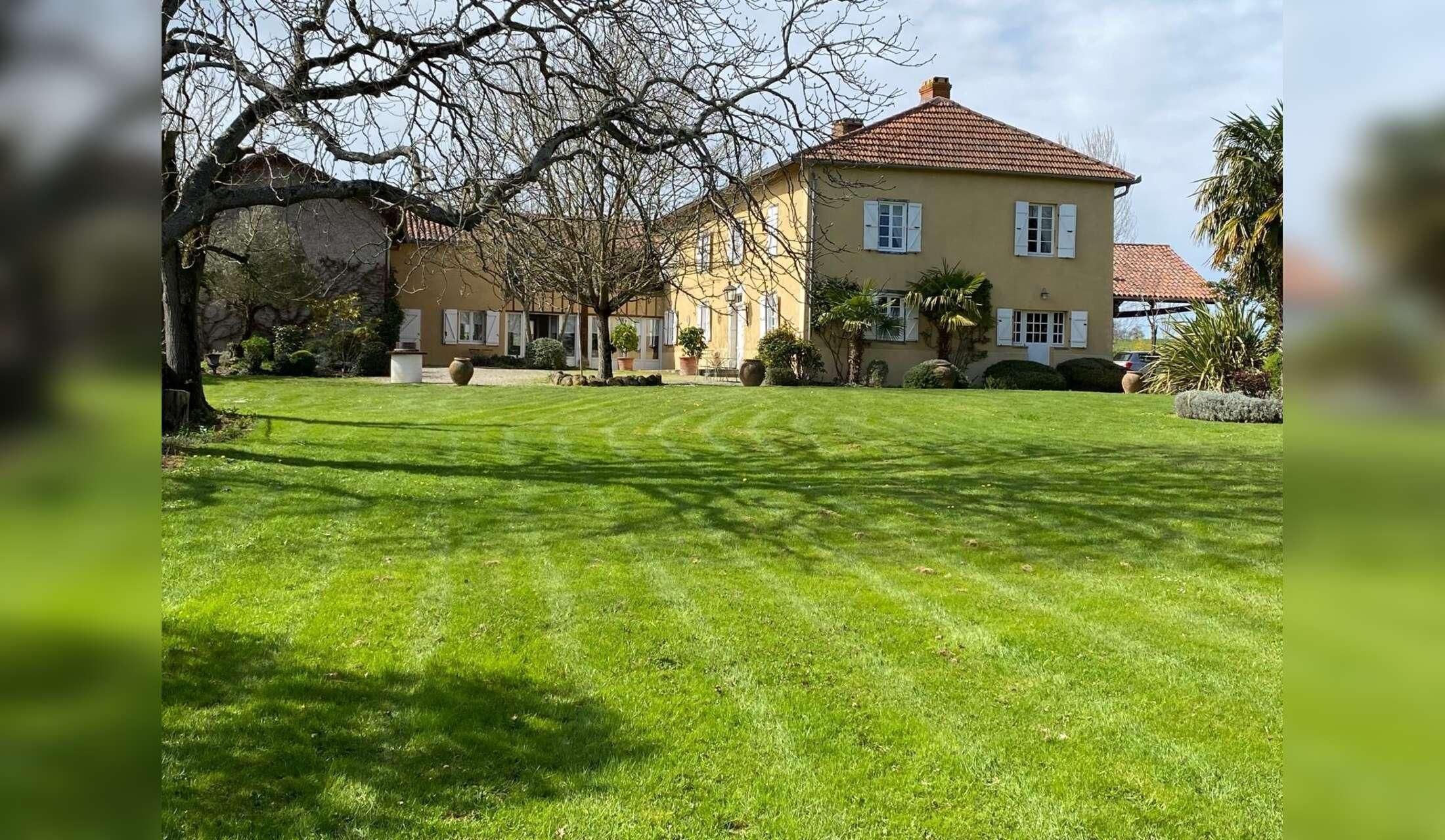 The peace of south west France near the Pyrenees with two dogs and a cat