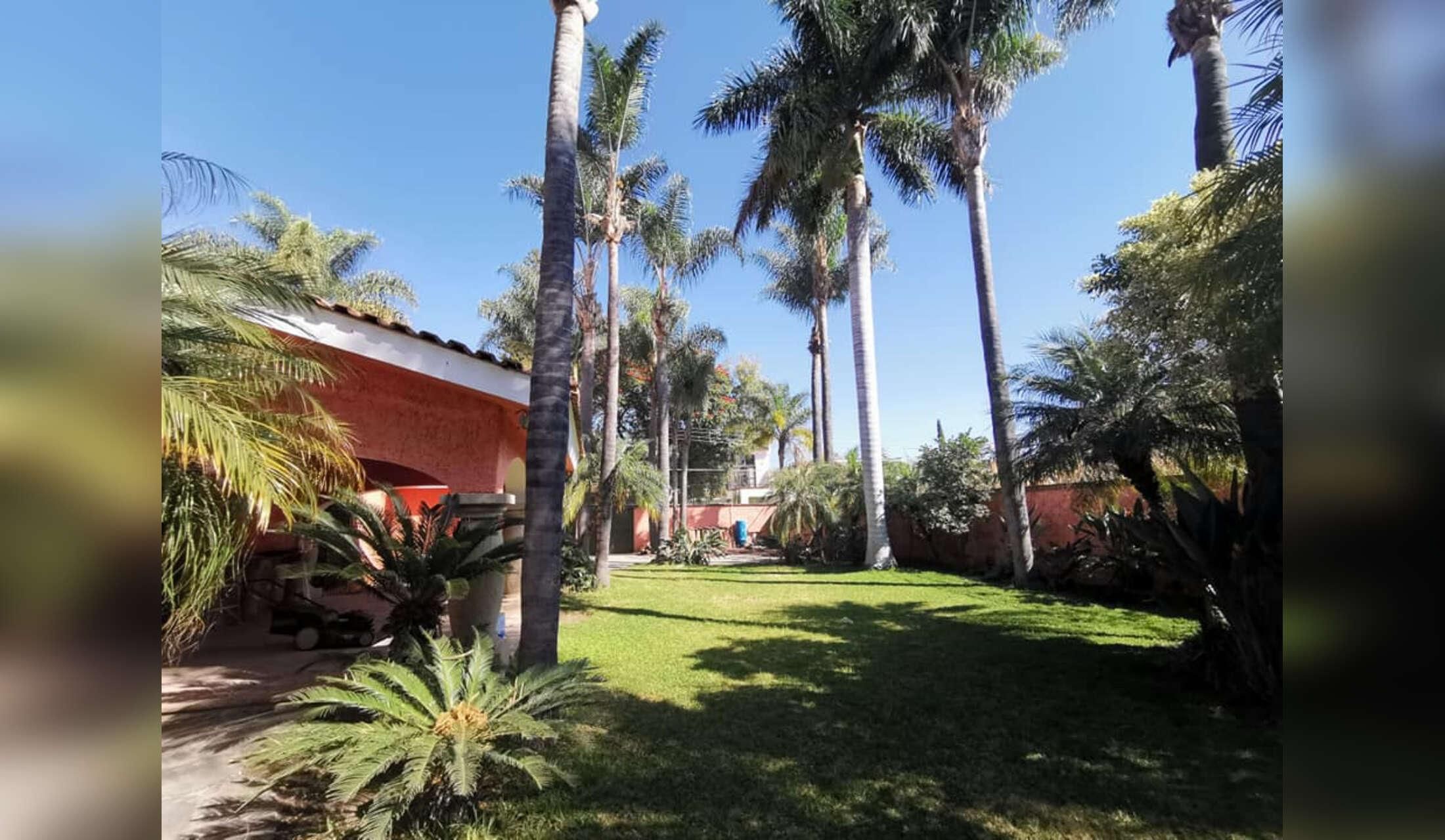 House Sitter Needed in Chapala, Jalisco, Mexico - Image 8