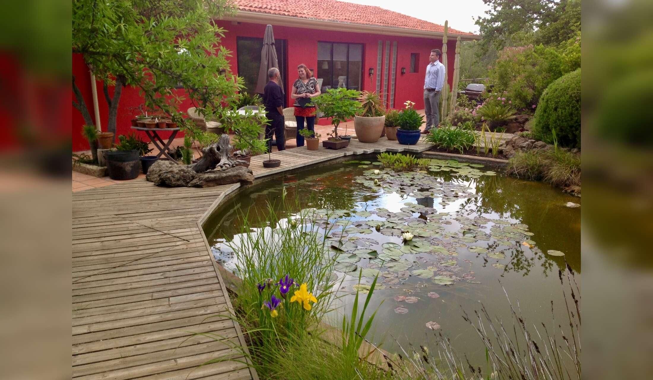 House- & Pet-Sitter Wanted on a Permaculture Finca in Vilaflor, Tenerife - Image 5