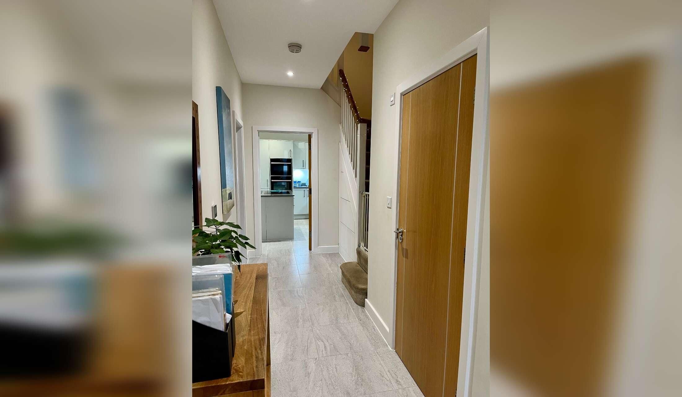 Lovely ladrador cross and cat in Detached house in Winchester - Image 5