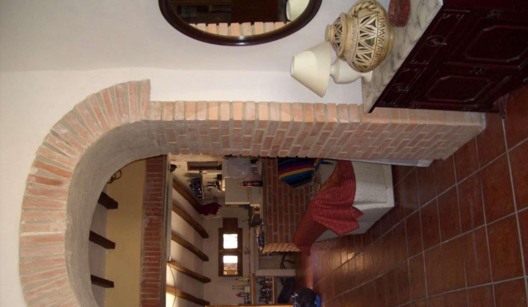 5 very easy going cats looking for someone to take care of them in peaceful Southern Spain - Image 7