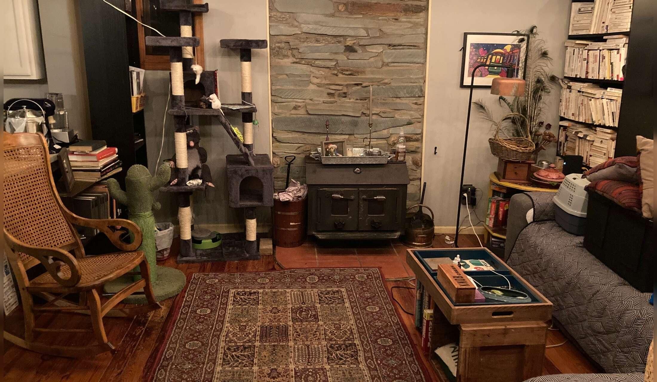 Low-key Blue Ridge sit with paid dog walker available! - Image 2